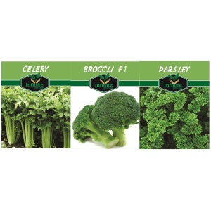 Herbs Collection Combo seeds Broccoli F1, Celery and Parsley 3 in 1