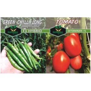 Hybrid F1 Tomato & Hybrid F1 Long Chilli seeds