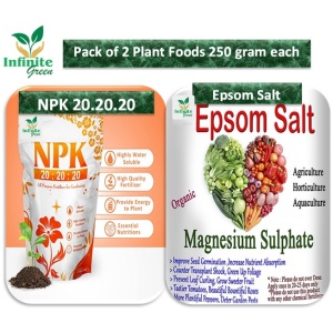 Pack of 2 250 gram NPK 20-20-20 and Epsom Salt Essential Plants Foods