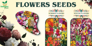 Flower Seeds