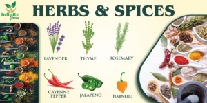 herbs & SPices