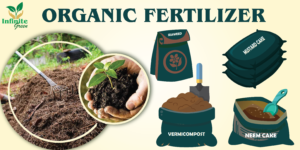 Organic Fertilizers