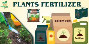 Plants Fertilizers