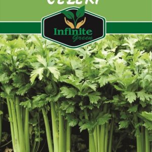 Celery (150 Plus seeds) Herb's seeds