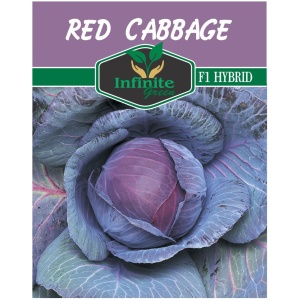 Red Cabbage F1 Hybrid