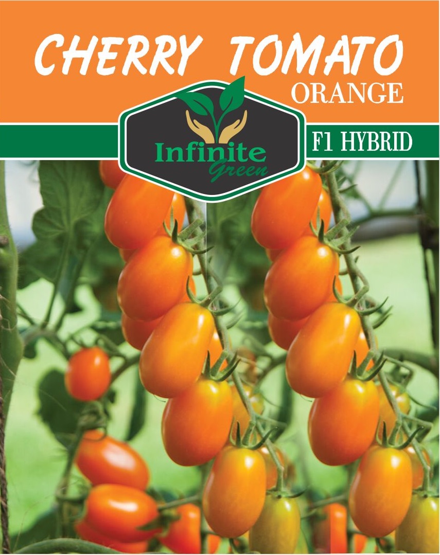 326d00e3e542229fe61c08e31403f294 Cherry Tomato Orange F1