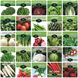 25 Winter Vegetables seeds