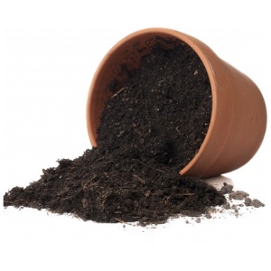 Orgnic Plant Soil Less Potting Soil Mix for Plants