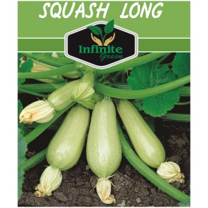 Squash Long F1
