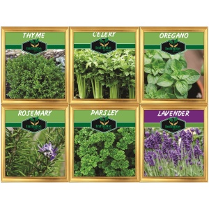 6 Herbs seeds Lavender Rosemary Thyme Parsley Celery Oregano