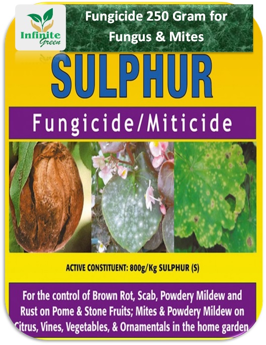 6e21769a6a52deed36a8d2edebaef963 Fungicide 250 grams