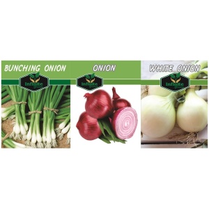Red Onion, White Onion, Bunching Onion