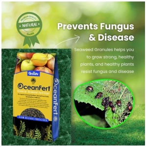 Seaweed Fertilizer 100 Grams