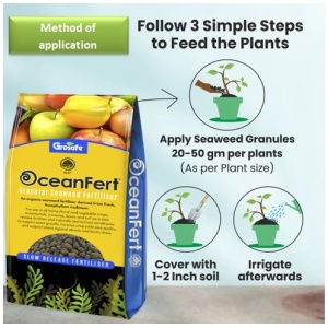 Seaweed Fertilizer 250 Gram