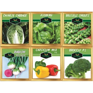 BRUSSELS SPROUTS F 1, RADISH RED MEAT, Broccoli F1, Iceberg, CHINESE CABBAGE, Bell Paper / Colored capsicum