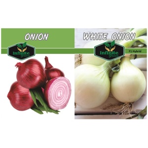 RED ONION & WHITE ONION F1