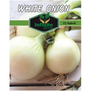 WHITE ONION F1
