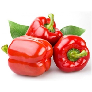 F1 Hybrid Red Capsicum