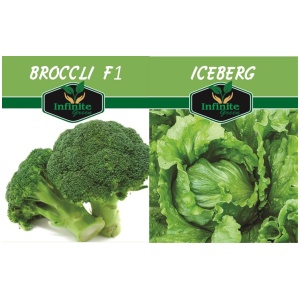 Broccoli F1 & Iceberg