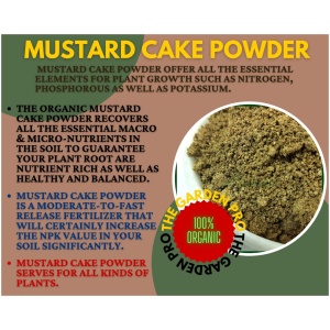 Mustard Cake 500 grtams