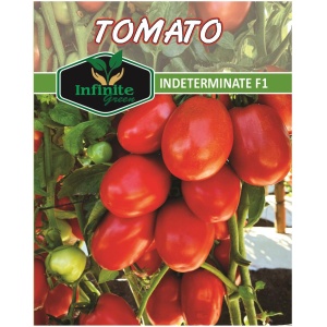 Tomato Indeterminate F1