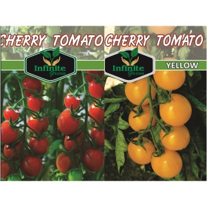 Cherry Tomato Red & Yellow F1