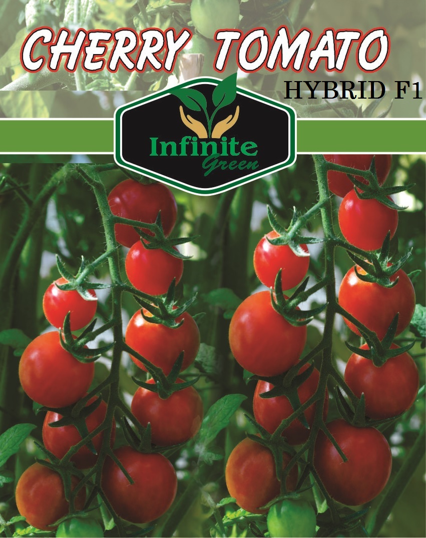 df037bd5f325220ba5ef02f0775d92d1 Cherry Tomato Red F1