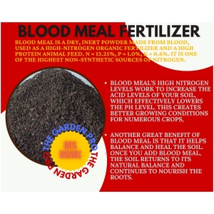 Blood Meal 500 Gram