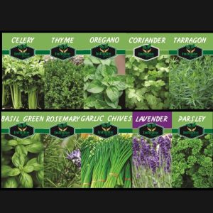PACK OF 10 HERBS