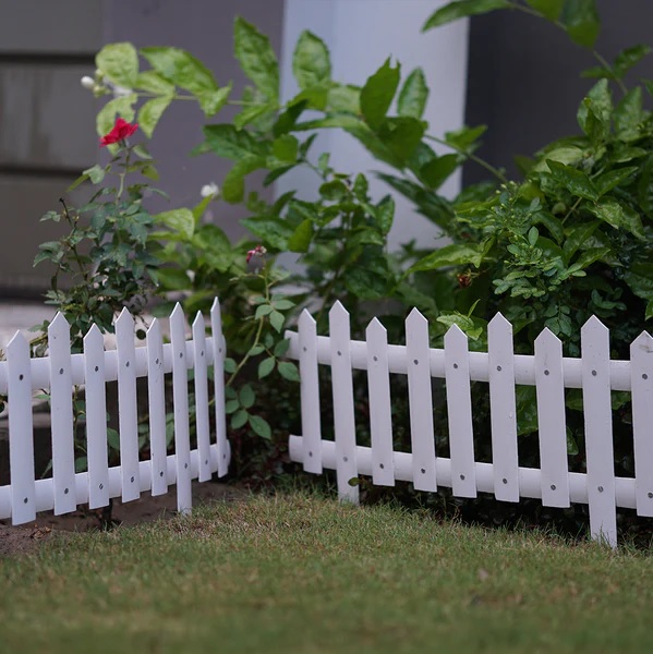 aaaa